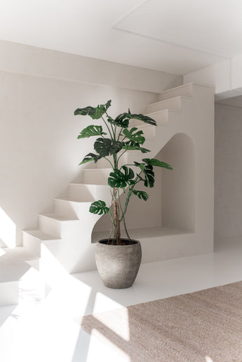 La Plante Artificielle Monstera 210 cm trône dans un intérieur minimaliste et ensoleillé avec des murs blancs, des lignes modernes, un escalier et un tapis beige. La douce lumière naturelle souligne le design élégant de la pièce.