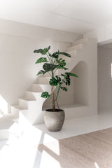 La plante artificielle Monstera 210 cm, aux larges feuilles vertes, se dresse sur un sol blanc dans une pièce lumineuse et minimaliste avec des murs blancs, un escalier et une lumière naturelle.