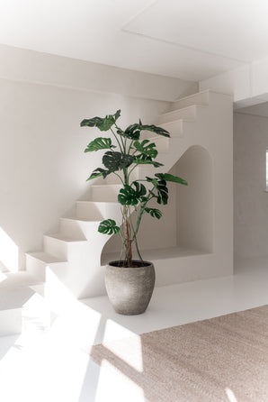 La plante artificielle Monstera 210 cm, aux larges feuilles vertes, se dresse sur un sol blanc dans une pièce lumineuse et minimaliste avec des murs blancs, un escalier et une lumière naturelle.