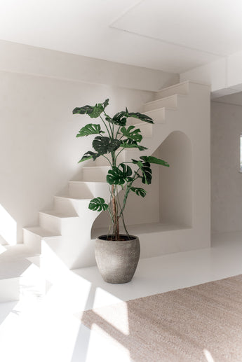La plante artificielle Monstera 210 cm, aux larges feuilles vertes, se dresse sur un sol blanc dans une pièce lumineuse et minimaliste avec des murs blancs, un escalier et une lumière naturelle.