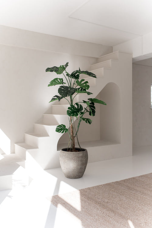 La plante artificielle Monstera 210 cm, aux larges feuilles vertes, se dresse sur un sol blanc dans une pièce lumineuse et minimaliste avec des murs blancs, un escalier et une lumière naturelle.