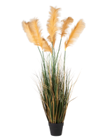 Une herbe de pampa artificielle de 200 cm, une plante ignifuge avec de longues feuilles vertes et de hautes plumes dorées clair, représentée sur un fond blanc uni.