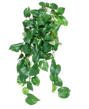 La plante artificielle suspendue Golden Vine Deluxe 80 cm présente des feuilles vertes en forme de cœur avec des nuances jaunes sur fond blanc.