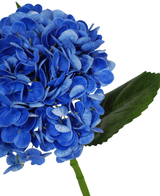 Un gros plan de la fleur artificielle Charlotte Hortensia Real Touch en bleu foncé (55 cm), représentant une fleur d'hortensia artificielle bleu vif avec des feuilles et une tige vertes, sur un fond blanc.