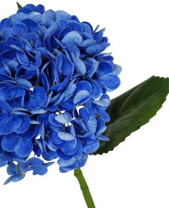 Un gros plan de la fleur artificielle Charlotte Hortensia Real Touch en bleu foncé (55 cm), représentant une fleur d'hortensia artificielle bleu vif avec des feuilles et une tige vertes, sur un fond blanc.