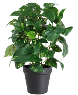 La Plante Artificielle Vigne Dorée en Pot 40 cm présente des feuilles vertes en forme de cœur aux reflets jaunes, présentées dans un pot noir élégant et sur un fond blanc.