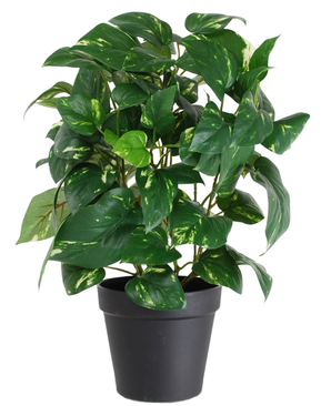 La Plante Artificielle Vigne Dorée en Pot 40 cm présente des feuilles vertes en forme de cœur aux reflets jaunes, présentées dans un pot noir élégant et sur un fond blanc.