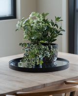 Sur une table en bois clair près de la fenêtre se trouve un plateau noir avec trois Lierres Artificiels Deluxe vert-blanc en pots de 22 cm UV ; deux chaises en bois sont partiellement visibles.