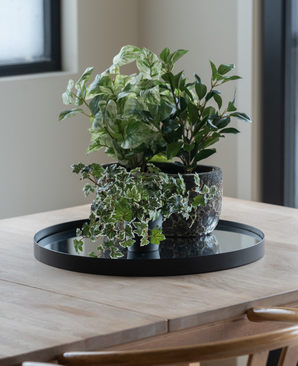 Sur une table en bois clair près de la fenêtre se trouve un plateau noir avec trois Lierres Artificiels Deluxe vert-blanc en pots de 22 cm UV ; deux chaises en bois sont partiellement visibles.