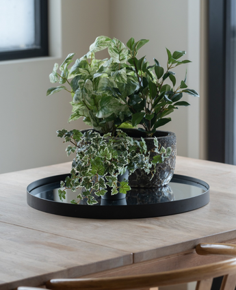 Sur une table en bois clair près de la fenêtre se trouve un plateau noir avec trois Lierres Artificiels Deluxe vert-blanc en pots de 22 cm UV ; deux chaises en bois sont partiellement visibles.
