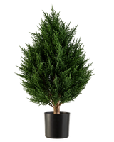 La Plante Artificielle Conifer Deluxe UV 60 cm de Easyplants est une plante artificielle compacte et buissonnante au feuillage persistant et au feuillage vert riche, présentée dans un pot noir sur fond blanc. Cela en fait un excellent choix parmi les plantes artificielles d’extérieur et fournit sans effort une verdure éclatante dans n’importe quel environnement.