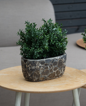 La Plante Artificielle Buis Style Romain UV 36 cm, une petite plante artificielle à feuilles vertes dans une jardinière en pierre avec structure, se dresse sur une table ronde en bois clair avec un canapé beige et un mur en bois foncé en arrière-plan.
