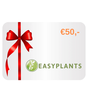 Carte Cadeau Digitale