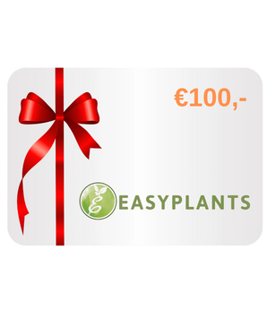 Carte Cadeau Digitale