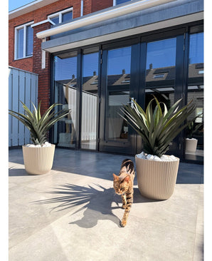 Un chat tigré brun-noir se promène sur une terrasse ensoleillée avec deux plantes artificielles en pot Agava Pandora UV 85 cm, devant des portes vitrées qui reflètent les maisons et le ciel.
