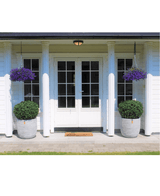 Une double porte blanche avec panneaux de verre est encadrée de deux Buis Artificiels sur tige UV d60 cm et de paniers suspendus à fleurs violettes, contre une maison blanche avec piliers et un petit tapis d'accueil à l'entrée.