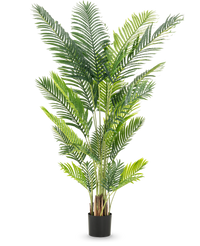 Plante artificielle Phoenix 200 cm