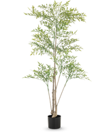 Le Ruscus artificiel de 150 cm a des branches longues et fines et des feuilles vert clair dans un pot noir sur fond blanc - idéal comme intérieur décoratif pour n'importe quelle pièce.