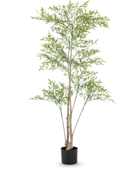 Plante artificielle Ruscus 150 cm