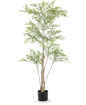 Le Ruscus artificiel de 150 cm a des branches longues et fines et des feuilles vert clair dans un pot noir sur fond blanc - idéal comme intérieur décoratif pour n'importe quelle pièce.
