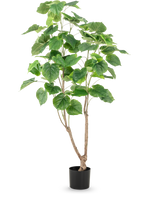 La plante artificielle Ficus 150 cm possède de multiples tiges fines brunes et de grandes feuilles vertes larges, présentées dans un pot haut sur un fond blanc uni.