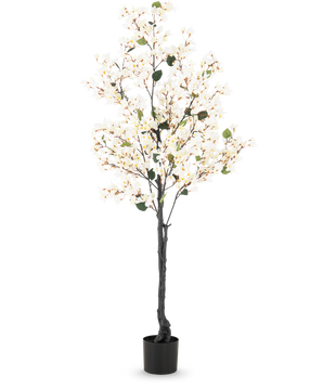 Le Bougainvillier Artificiel 180 cm blanc est un grand arbre artificiel avec des branches sombres, de petites feuilles vertes et des lumières LED blanches dans un simple pot noir, sur un fond blanc uni.
