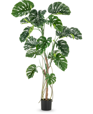 La plante artificielle Monstera 180 cm est une grande plante artificielle avec de grandes feuilles vertes fendues et brillantes dans un petit pot noir, représentée sur un fond blanc uni.