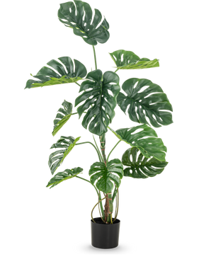 La plante artificielle Monstera 120 cm est un grand faux monstera en pot avec de grandes feuilles vertes brillantes avec des trous et des fissures d'aspect naturel, sur un fond blanc uni.