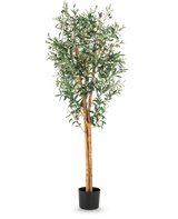 L'Olivier artificiel UV 160 cm est un grand olivier artificiel avec des branches fines, des feuilles vertes et un tronc à la structure réaliste dans un simple pot noir sur fond blanc.