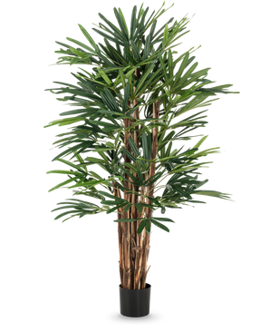 Le palmier artificiel Lady 150 cm a plusieurs tiges brunes et des feuilles vertes denses et minces dans un simple pot noir. Cette grande plante en pot est idéale pour les amateurs d’arbres artificiels et offre une verdure luxuriante sur n’importe quelle toile de fond.