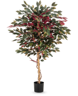 La plante artificielle Ficus vert/rouge 150 cm a un tronc torsadé marron clair, des feuilles vertes et bordeaux et est livrée dans un pot noir - idéale comme plante d'intérieur frappante sur un fond blanc.