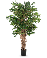 La plante artificielle Ficus Liana 120 cm a des troncs bruns tressés et des feuilles vertes luxuriantes dans un pot noir, ce qui en fait un choix élégant pour toute collection de ficus ou exposition de plantes de bureau.