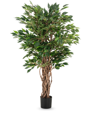 La plante artificielle Ficus Liana 120 cm a des troncs bruns tressés et des feuilles vertes luxuriantes dans un pot noir, ce qui en fait un choix élégant pour toute collection de ficus ou exposition de plantes de bureau.