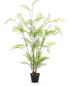 La fougère artificielle de 120 cm a des tiges longues et minces et de petites feuilles vertes fines, élégamment disposées dans un pot sur un fond blanc uni - une plante d'intérieur idéale et facile d'entretien pour votre intérieur.