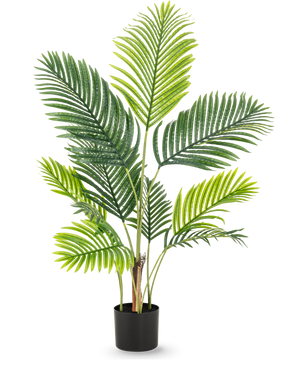La plante artificielle Phoenix 120 cm possède plusieurs longues tiges avec de grandes feuilles vertes et légères comme une plume, qui ont l'aspect luxuriant d'une plante tropicale sur un fond blanc uni.