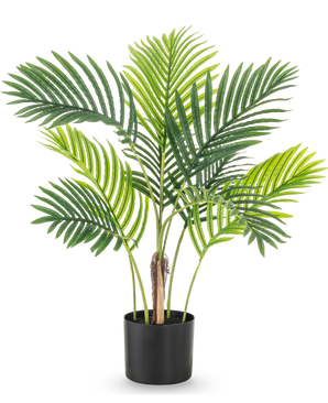 De Kunstplant Phoenix 85 cm heeft verschillende hoge groene palmbladeren en wordt geleverd in een eenvoudige zwarte pot, perfect tegen een witte achtergrond.