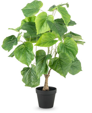La plante artificielle Ficus 60 cm possède de grandes feuilles vertes en forme de cœur et une tige structurée dans un simple pot en plastique noir, sur fond blanc.