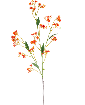 La Branche Artificielle Daphné Spray 108 cm orange possède une seule et longue branche artificielle avec de petites fleurs orange vif et des feuilles vertes, sur un fond blanc uni.