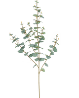 De Kunst Eucalyptus 96 cm heeft slanke stelen en ronde, blauwgroene bladeren, elegant weergegeven tegen een effen witte achtergrond.