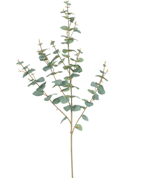 De Kunst Eucalyptus 96 cm heeft slanke stelen en ronde, blauwgroene bladeren, elegant weergegeven tegen een effen witte achtergrond.