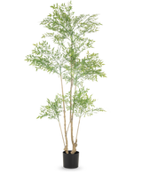 La Plante Artificielle Ruscus 180 cm est une grande plante artificielle aux multiples troncs élancés et aux petites feuilles vertes abondantes, présentée dans un simple pot noir sur fond blanc.
