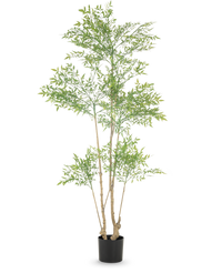 Plante artificielle Ruscus 180 cm
