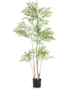 La Plante Artificielle Ruscus 180 cm est une grande plante artificielle aux multiples troncs élancés et aux petites feuilles vertes abondantes, présentée dans un simple pot noir sur fond blanc.