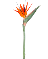 La fleur artificielle Strelitzia 86 cm rouge/violet a des pétales rouges et violets vibrants sur une longue tige verte, présentée comme une fleur artificielle unique, sans entretien, isolée sur un fond blanc.