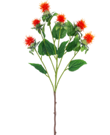 La Fleur Artificielle Carthame 79 cm orange a une seule tige avec plusieurs branches, chacune avec de vaporeuses fleurs rouge orangé et jaune avec des feuilles vertes, sur un fond blanc.