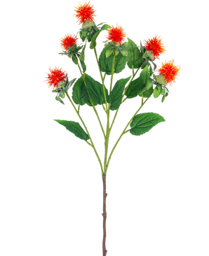 La Fleur Artificielle Carthame 79 cm orange a une seule tige avec plusieurs branches, chacune avec de vaporeuses fleurs rouge orangé et jaune avec des feuilles vertes, sur un fond blanc.