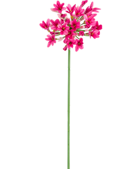 Agapanthe artificielle 77 cm rose