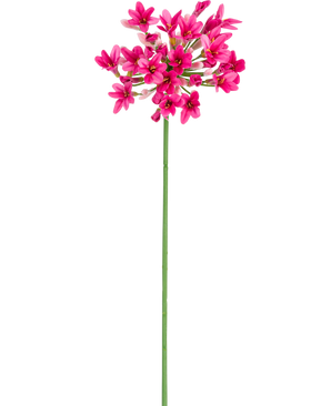 La Fleur Artificielle Agapanthe 77 cm rose possède une seule tige verte avec plusieurs bouquets de fleurs rose vif, chacune comportant plusieurs pétales, sur un fond blanc uni.
