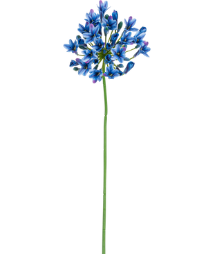 La fleur artificielle Agapanthe 77 cm bleue a une longue tige verte avec un bouquet de fleurs bleues et violettes éclatantes sur un fond blanc uni.