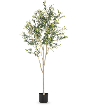 L'olivier artificiel de 180 cm présente plusieurs branches fines et des feuilles vertes dans un simple pot noir, sur un fond blanc uni - un accent décoratif élégant pour n'importe quelle pièce.